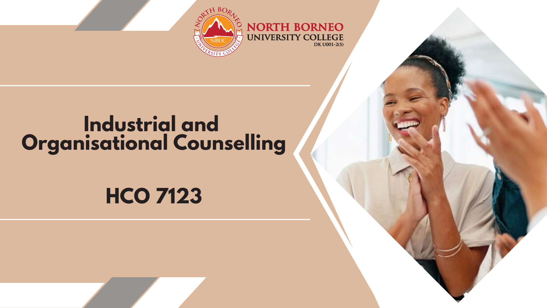 Industrial and Organisational Counselling