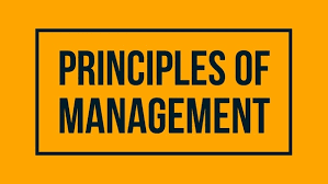 PRINCIPLE OF MANAGEMENT 
