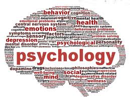 INTRO TO PSYCHOLOGY (DSM)