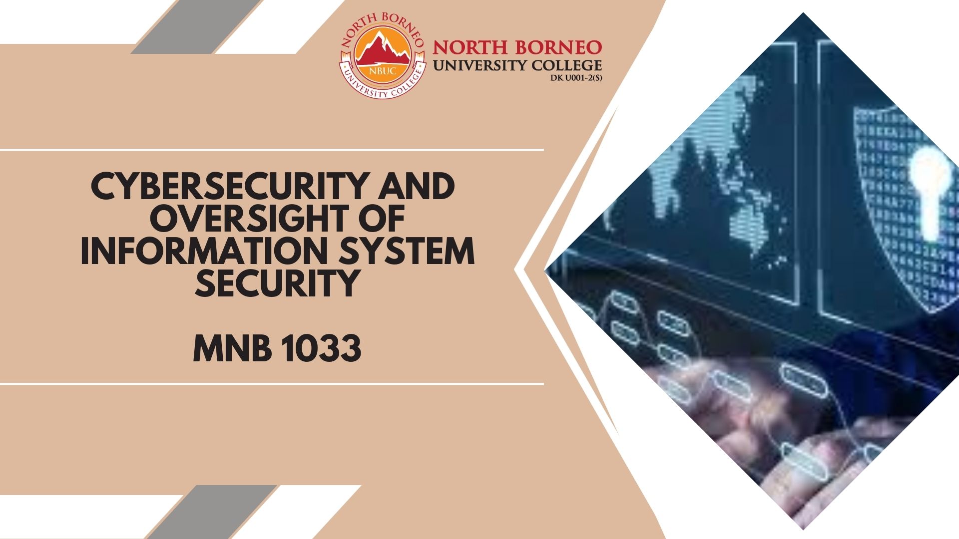 Cybersecurity and Oversight of Information  System Security