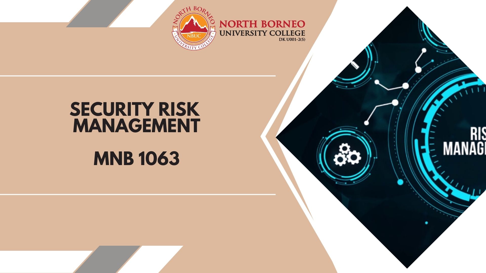 Security Risk Management