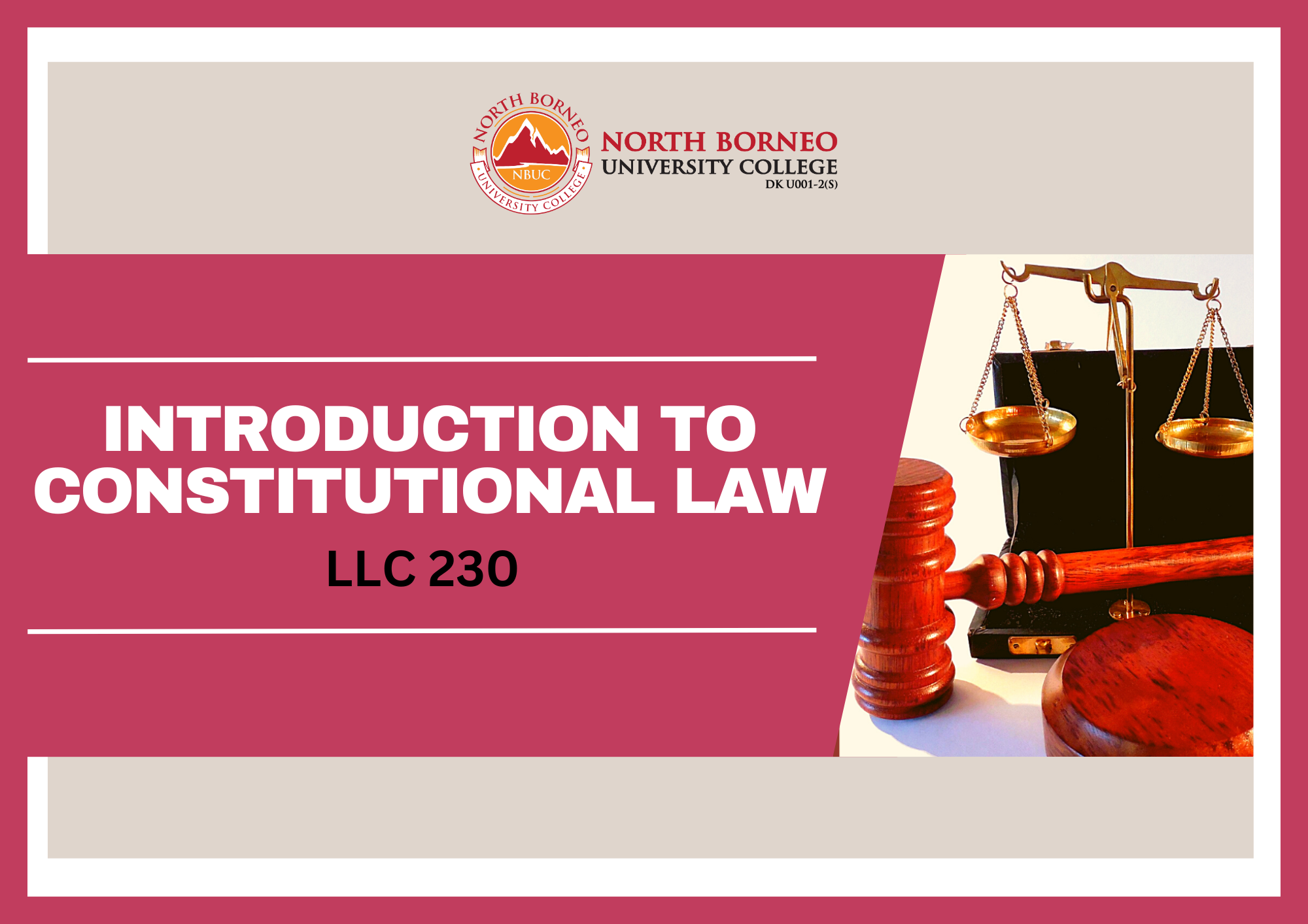 Introduction to Constitutional Law																						
