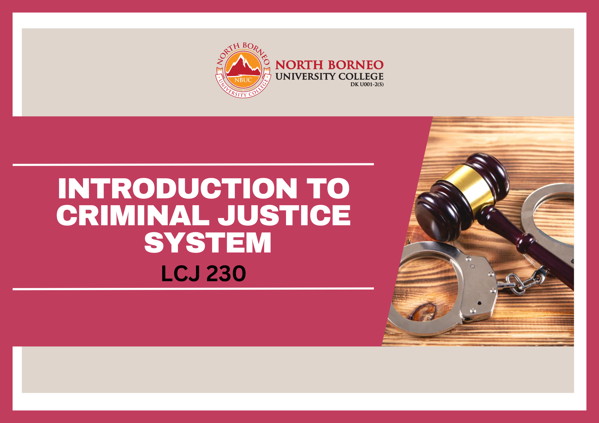 Introduction to Criminal Justice System 																						