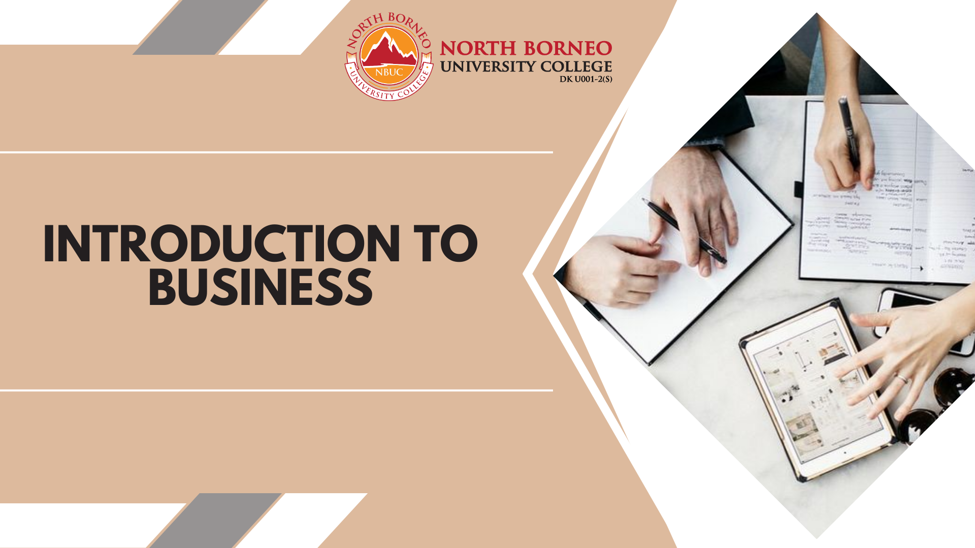 Introduction to Business (BBA IB ODL)