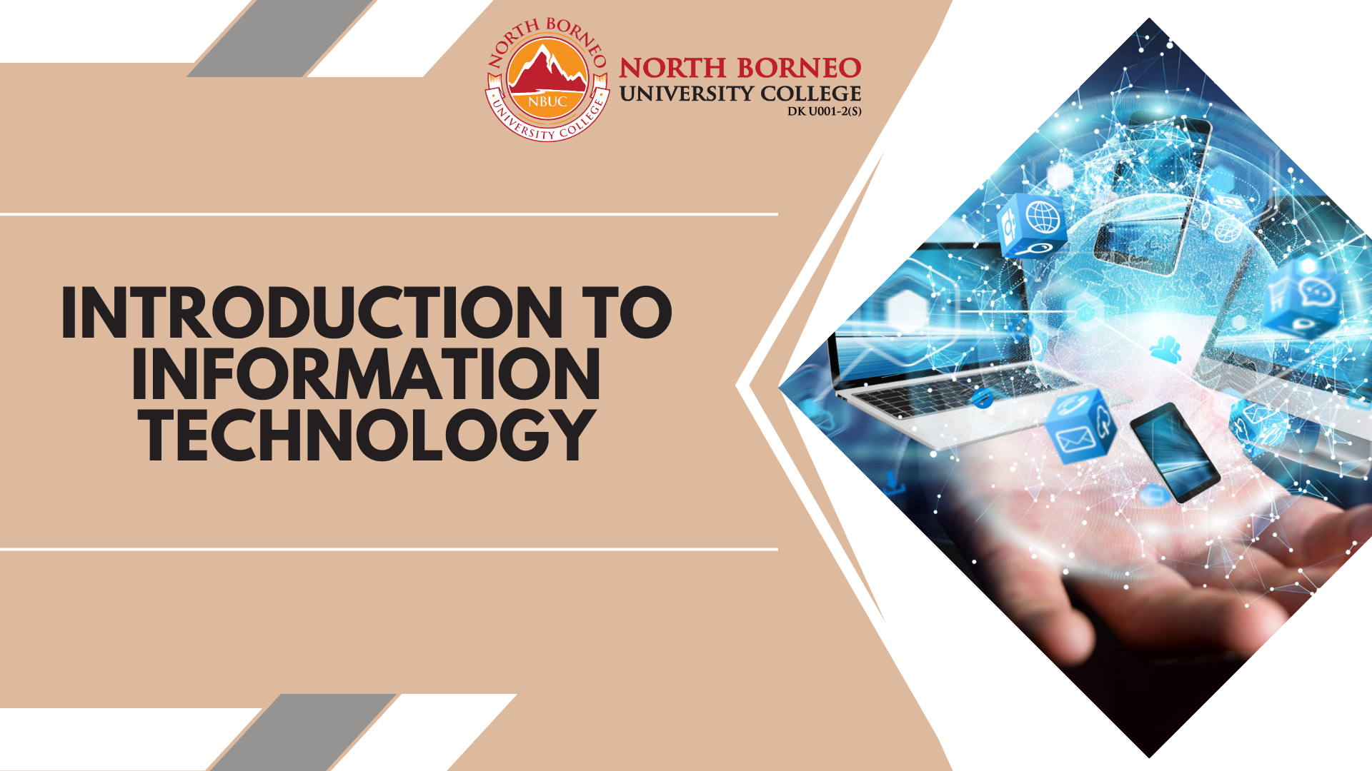 Introduction to Information Technology (BBA IB ODL)
