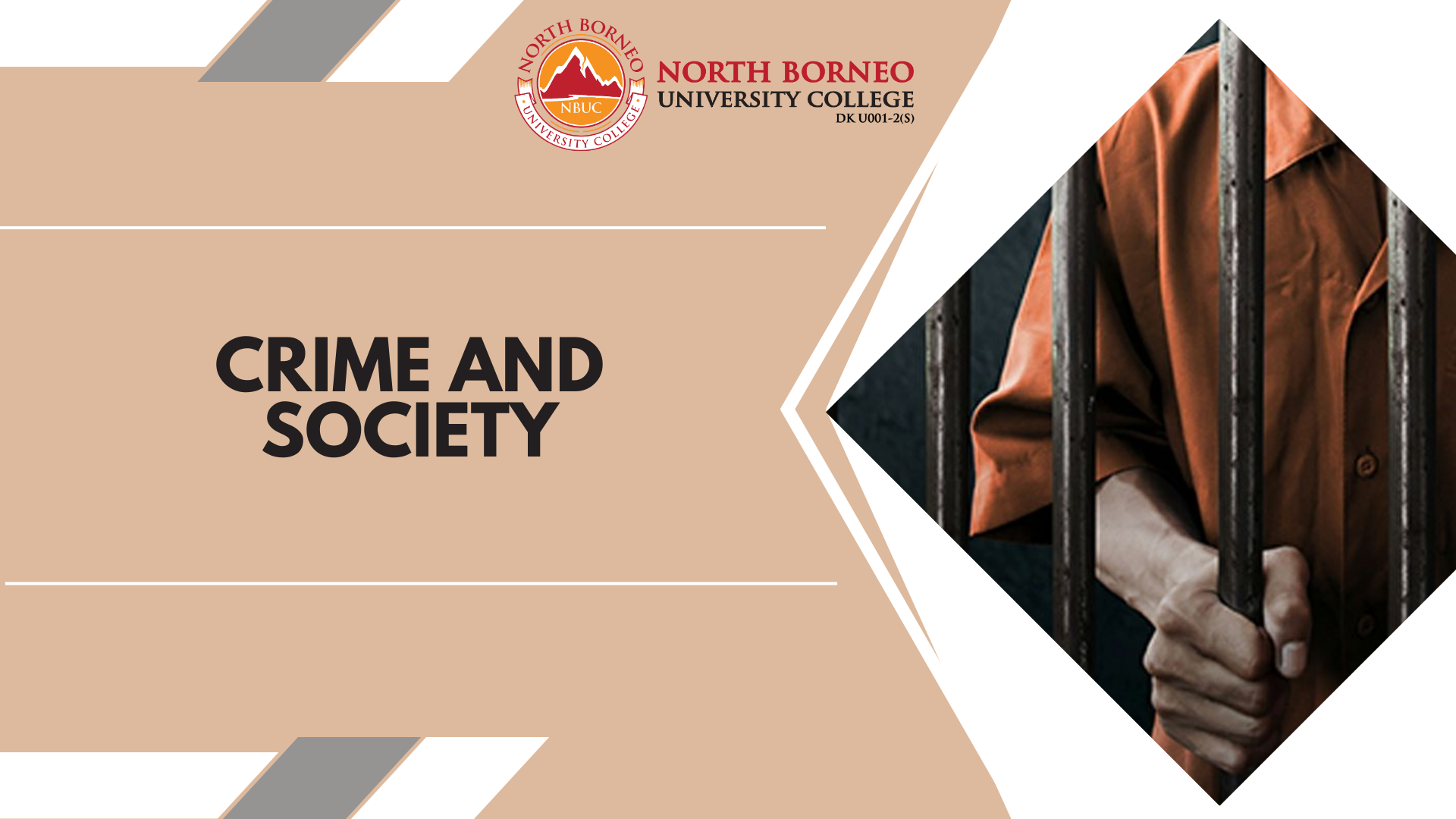 Crime and Society (BSEM ODL)